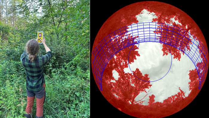 Lichtmessung mit dem Solariscope rechts Hemisphärisches Foto mit Klassifizierung der Vegetationsdeckung anhand von Helligkeitsschwellwerten. Foto Korbinian Tartler und Clemens Detsch