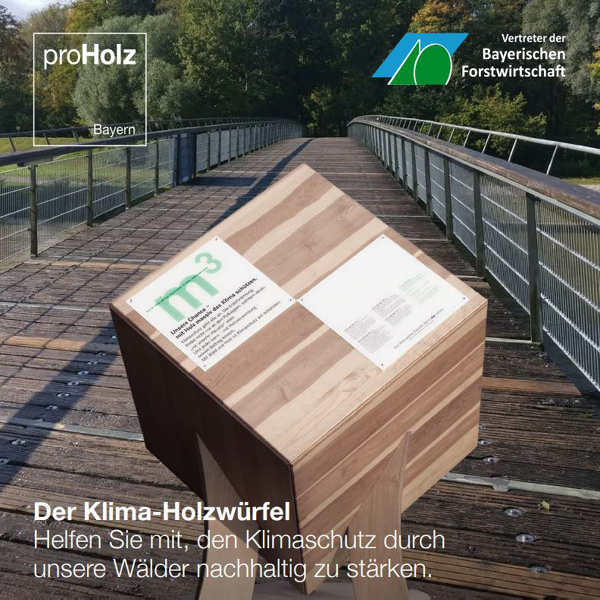 Klimaholzwürfel