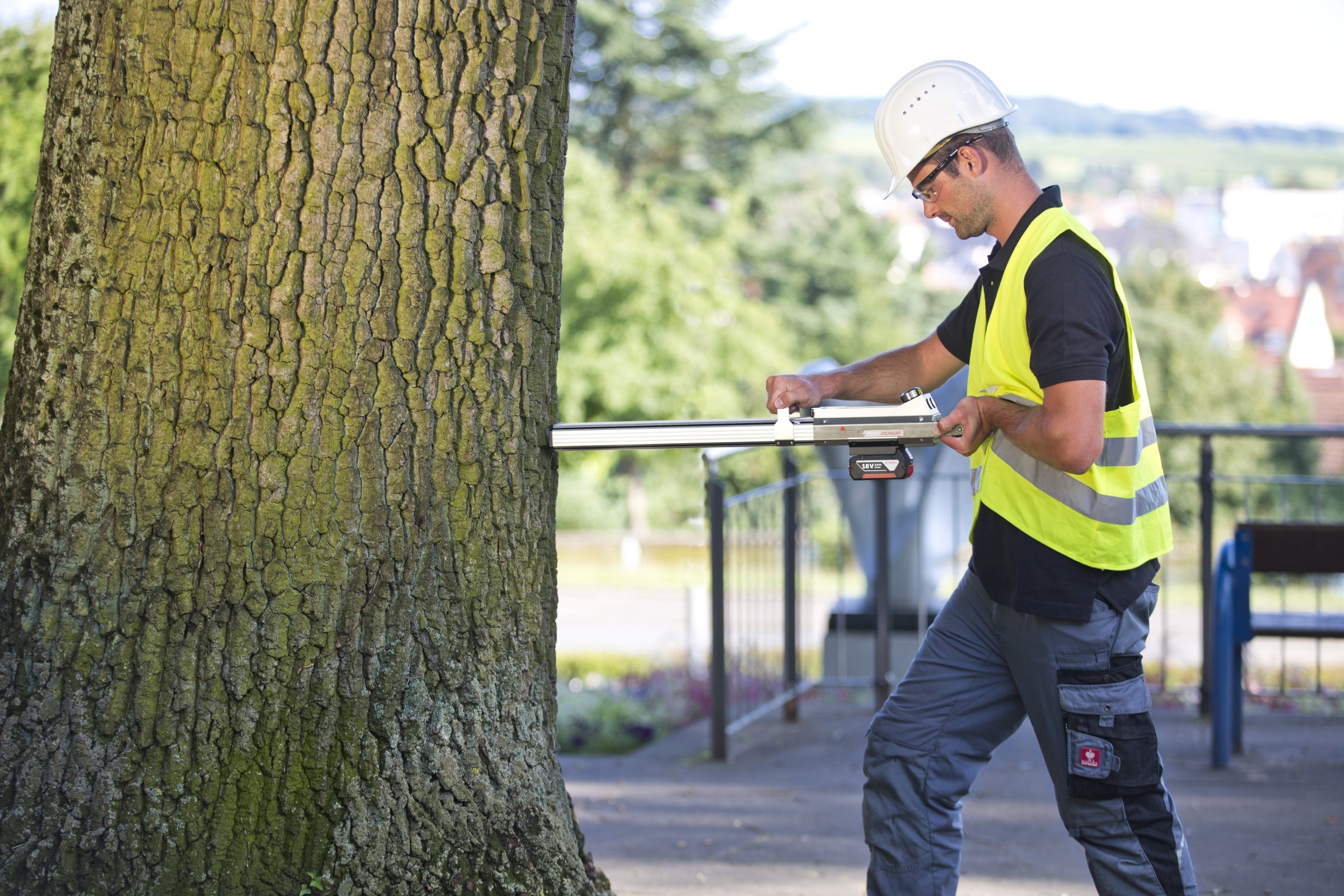 RESI Messung am Baum k