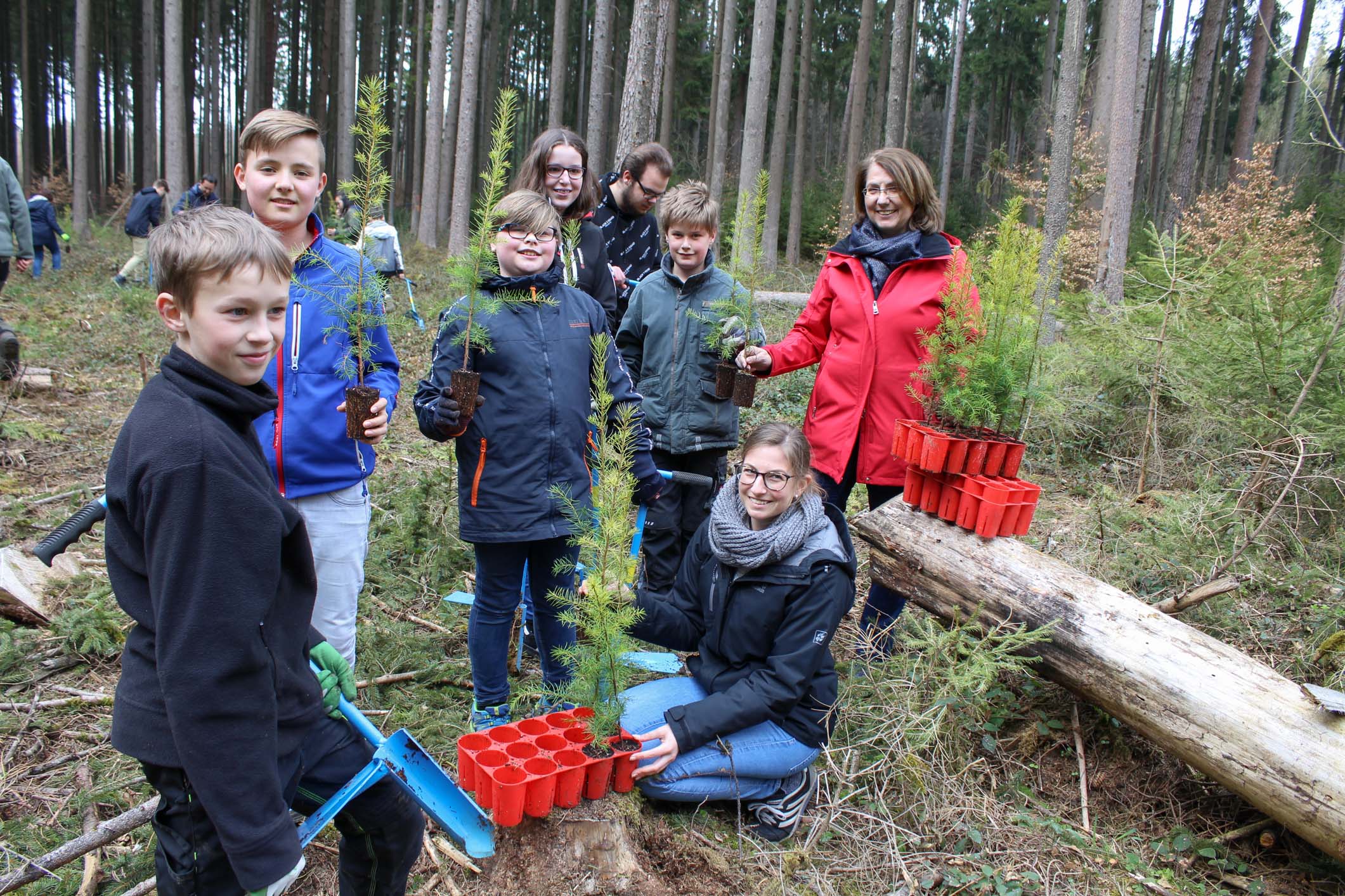 Schüler der Realschule Rebdorf pflanzen zusammen mit MdL Tanja Schorer-Dremel, (r.) junge Douglasien. Foto: C. Josten ,ZWFH