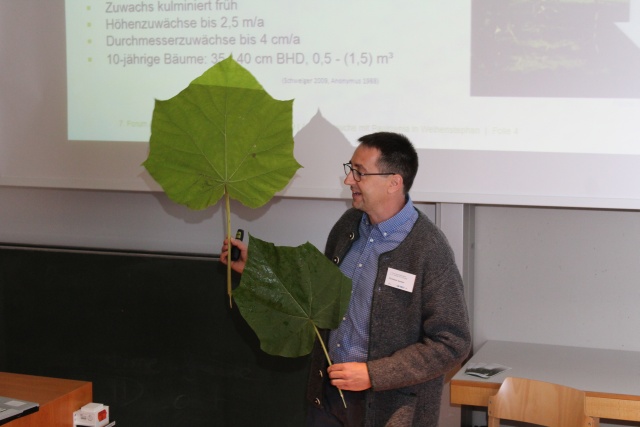 Christian Genser stellt Weihenstephaner Anbauversuche mit Paulownien vor. Foto: C. Josten, ZWFH