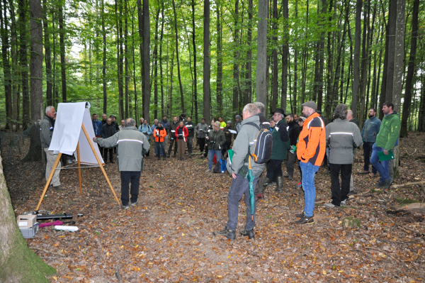 Hans-Peter Dietrich (LWF) gibt den Teilnehmern einen Einblick in die Funktionsweise einer Waldklimastation und präsentiert meteorologische Messergebnisse aus dem Guttenberger Wald.