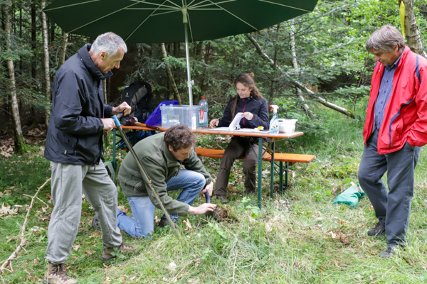Die Studierenden im 6. Semester Forstwissenschaft und Ressourcenmanagement stellen beim Bachelor-Kolloquium an der TUM ihr gesammeltes Wissen aus sechs Semestern unter Beweis. Foto: C. Josten, ZWFH Die Studierenden im 6. Semester Forstwissenschaft und Ressourcenmanagement stellen beim Bachelor-Kolloquium an der TUM ihr gesammeltes Wissen aus sechs Semestern unter Beweis. Foto: C. Josten, ZWFH