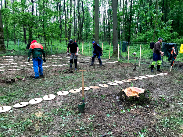  Anlage der Versuchsfläche (Foto: LWF)
