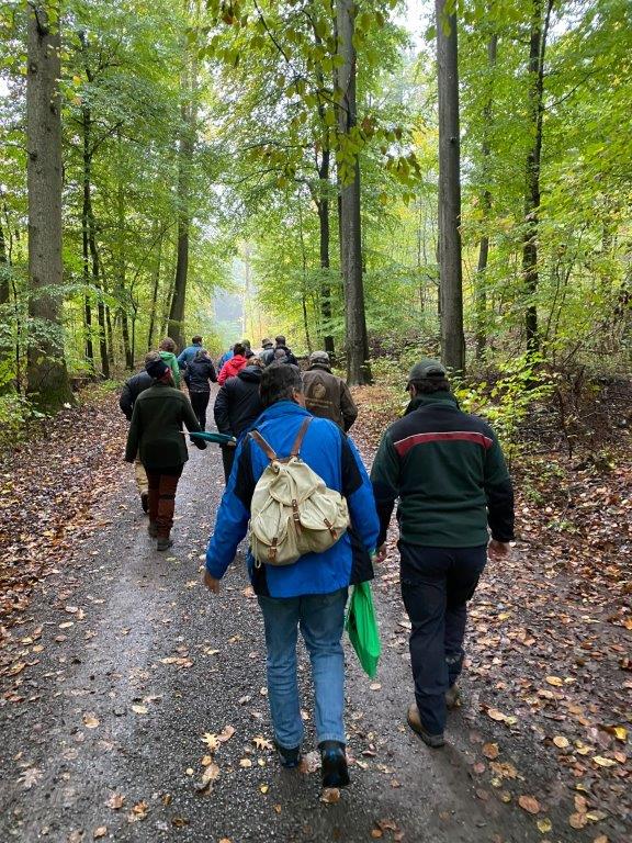 Auf den Spuren Karl Gayers im Strietwald