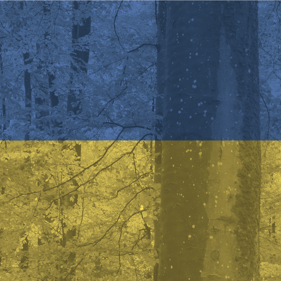 Ukraine 2.2.1